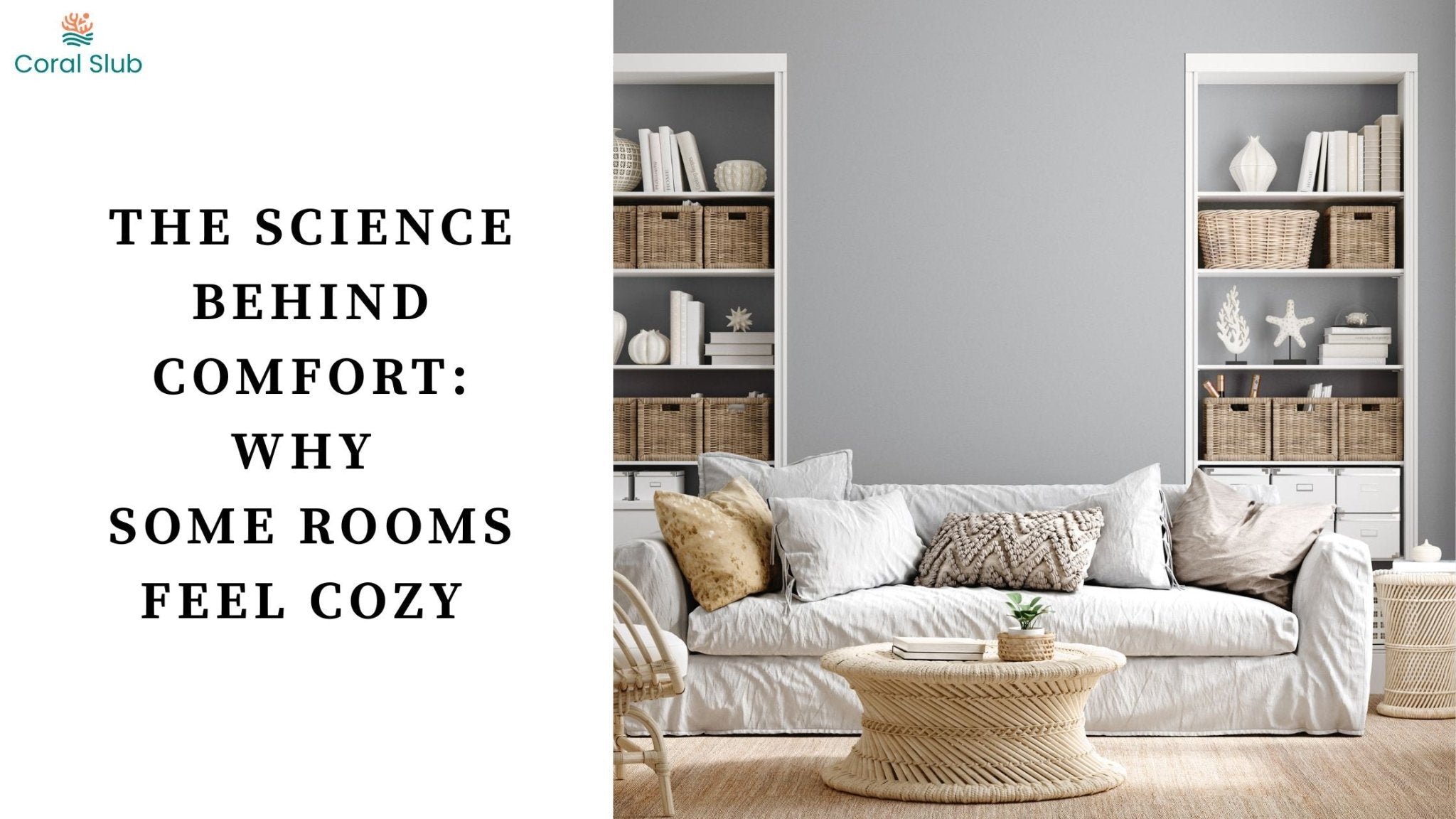 Why Do Some Rooms Feel Cozy While Others Feel Cold? The Science Behind Comfort